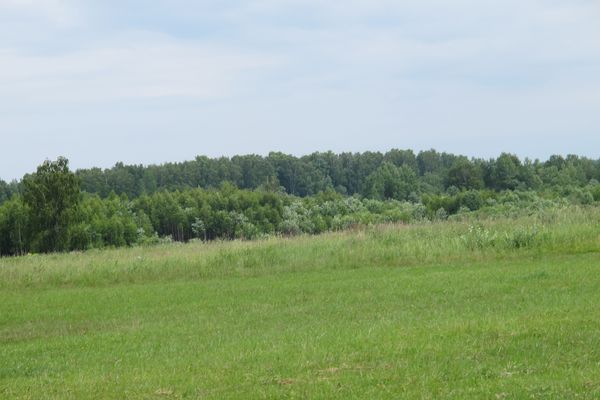 Бородинское поле. Вид со стороны стелы