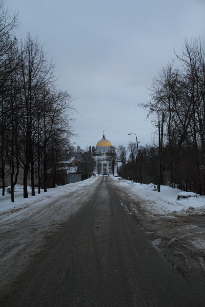 Вдалеке - купол Михайловского собора Псково-Печорского монастыря