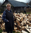 Досрочно завершилась благотворительная акция по сбору дров для одиноких стариков и многодетных семей 'Подари дрова'