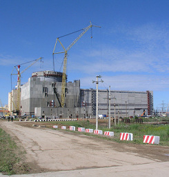 Студенческие отряды будут строить АЭС под Калининградом