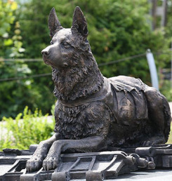 В столице открыт памятник фронтовой собаке