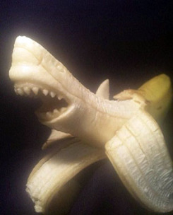 Японский художник делает скульптуры из банана