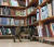 В библиотеку Новороссийска официально трудоустроили кота