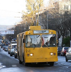 В Петрозаводске проезд в троллейбусе подешевел до 10 рублей