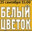 'Белый цветок': нужна ваша помощь