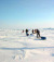 Группа детей-сирот и инвалидов покорит весной Северный полюс